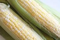 raw corn