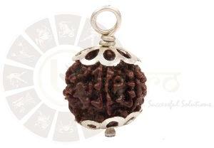 6 FACED Rudraksha