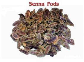 Senna Pods