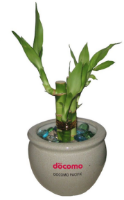 Green desk pot