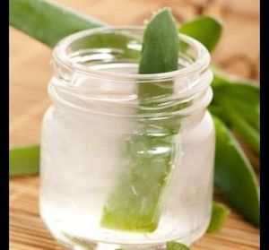 Organic Aloe Vera Pulp