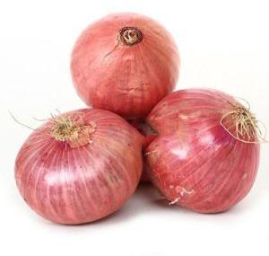 Fresh Onion