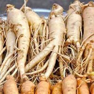 Ashwagandha Root