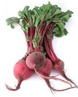 Fresh Beetroots