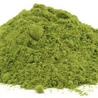 Moringa Powder