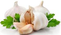 Fresh Garlic