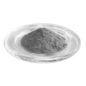 Calotropis Procera Powder