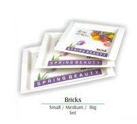 Bricks Tray Set