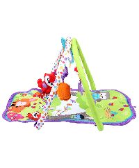 Multi Color Musical Activity Gym