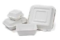 Bagasse Container Box
