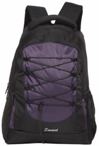 Zwart 214101P 25 L Free Size Laptop Backpack