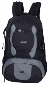 Zwart DISCOVER-GR 40 L Laptop Backpack