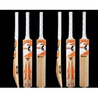 SG Cricket Bat (Cruiser NO 06)