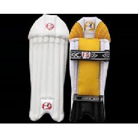 SG Cricket Batting LegGuard (Youth Campus)