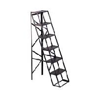 Iron Ladder