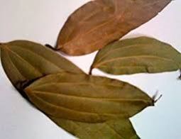 Bay Leaves