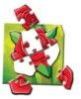 4 FLOWERS PIECES PUZZLES game