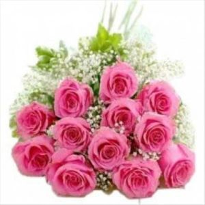 Pink Dozen Roses