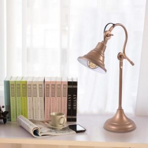 Bronze Table Lamp