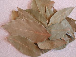 Bay Leaves