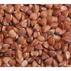 Buckwheat Seeds