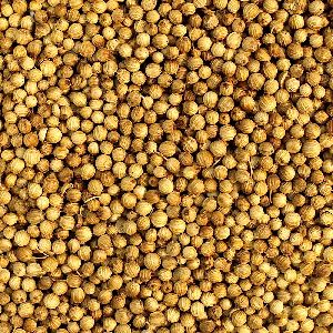 Coriander Seeds