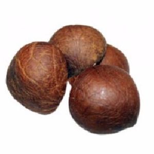Dried Whole Coconut Copra