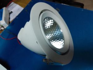 led tiltable light