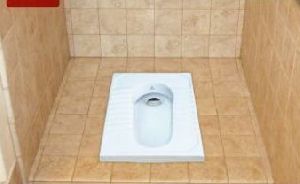 Orissa Pan Toilet Seat