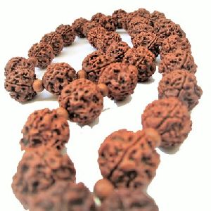 4 Mukhi Rudraksha Mala