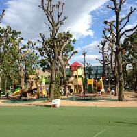 Playground Equipment