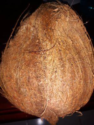 Coconut Husk