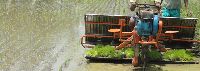 Rice Transplanter