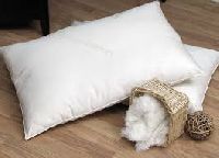 Cotton Pillows