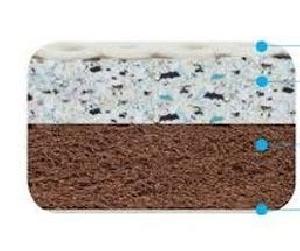 Rubberized Coir Mattress