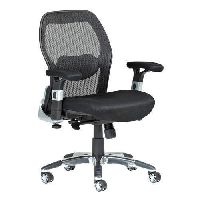 Deluxe Mesh Ergonomic Office Chair Low Back