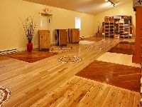 hardwood floor polisher