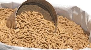 equine feed