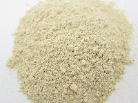 Dehydrated Garlic Powder