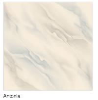 Antonia Vitrified Floor Tiles