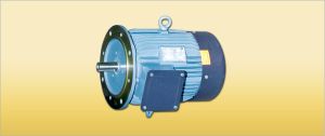 Flange Mounted Motors