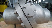 Inconel Check Valves