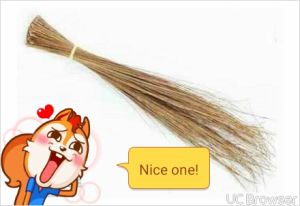 Coco Brooms