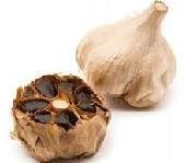 Aged Garlic Extract