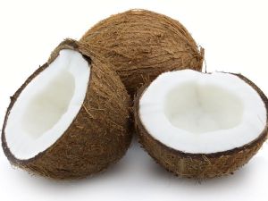 Coconut