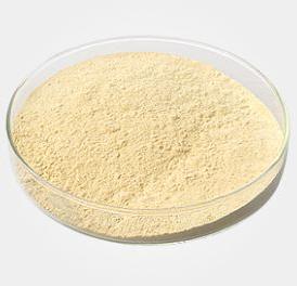 E415 Xanthan Gum