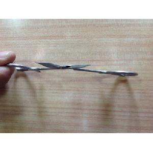 Aide To Extraction Forceps
