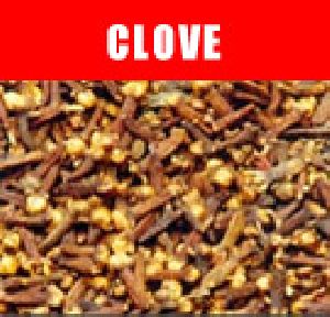 Clove