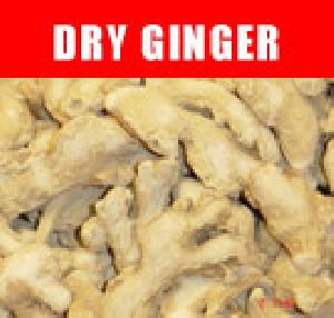 Dry Ginger