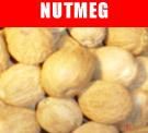 Nutmeg